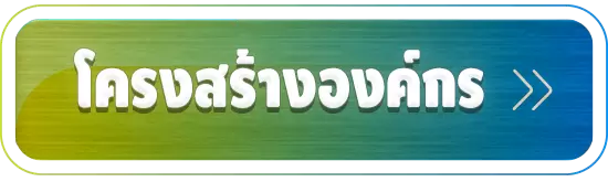 โครงสร้างองค์กร